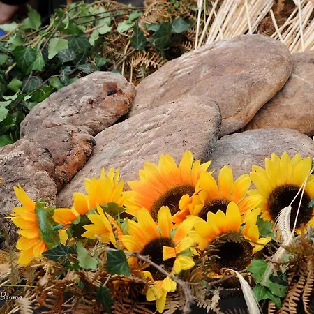 Oda ve Kahvaltı Al Sasso Toceno